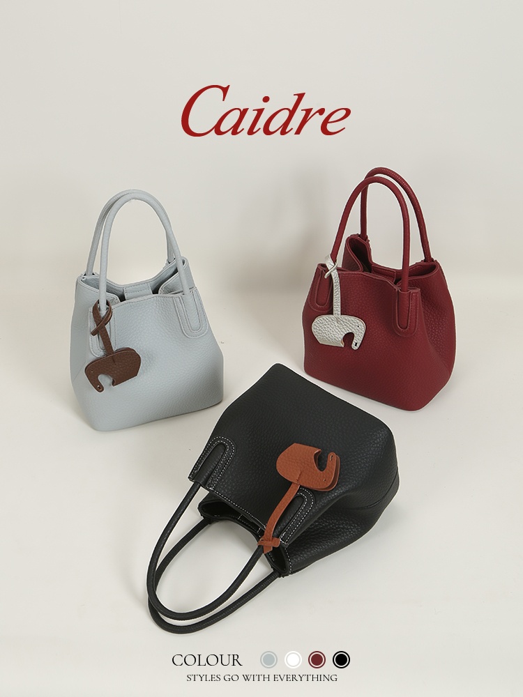 Caidre Luxury Tote Bag 2026 Ne - Luxury Bags Korea recension och pris
